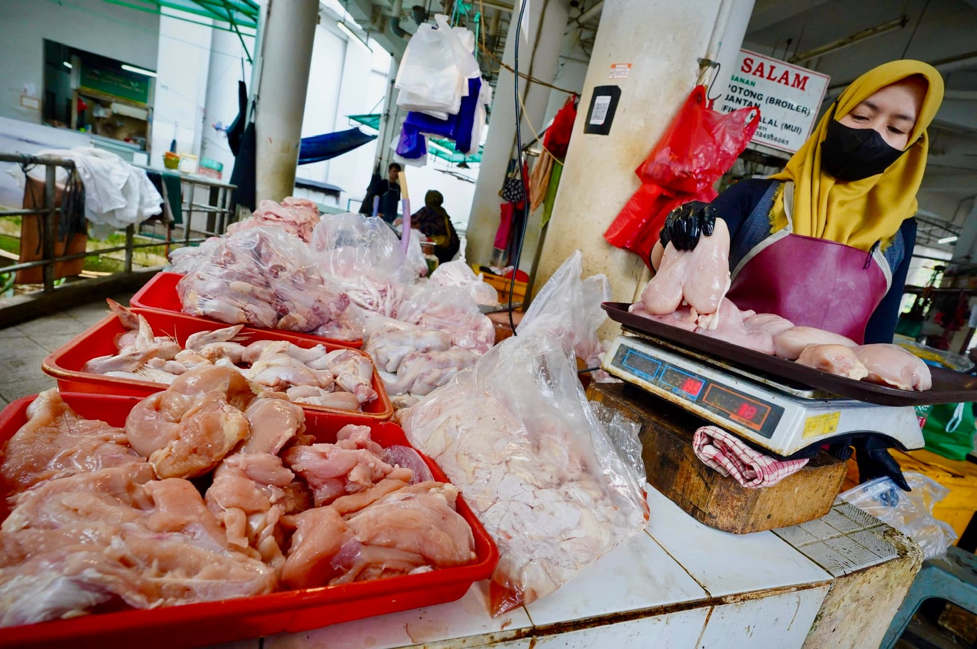 DPR: Usut ‘Mafia’ Perantara Pemicu Anomali Harga Daging Ayam !