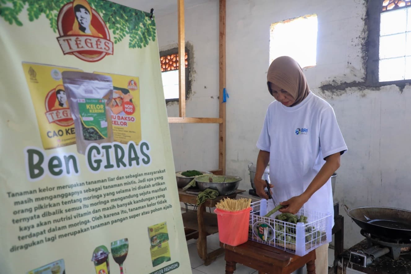 Momentum Hari UMKM Nasional, BRI Peduli Dorong Penguatan UMKM di Desa Brilian