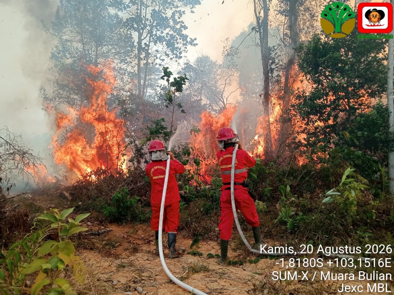 BNPB Rilis Update Karhutla di 7 Wilayah: Kalimantan Barat Terparah, Kualitas Udara Berbahaya