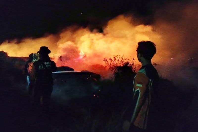Karhutla Kalimantan Tembus 54.564 Hektare