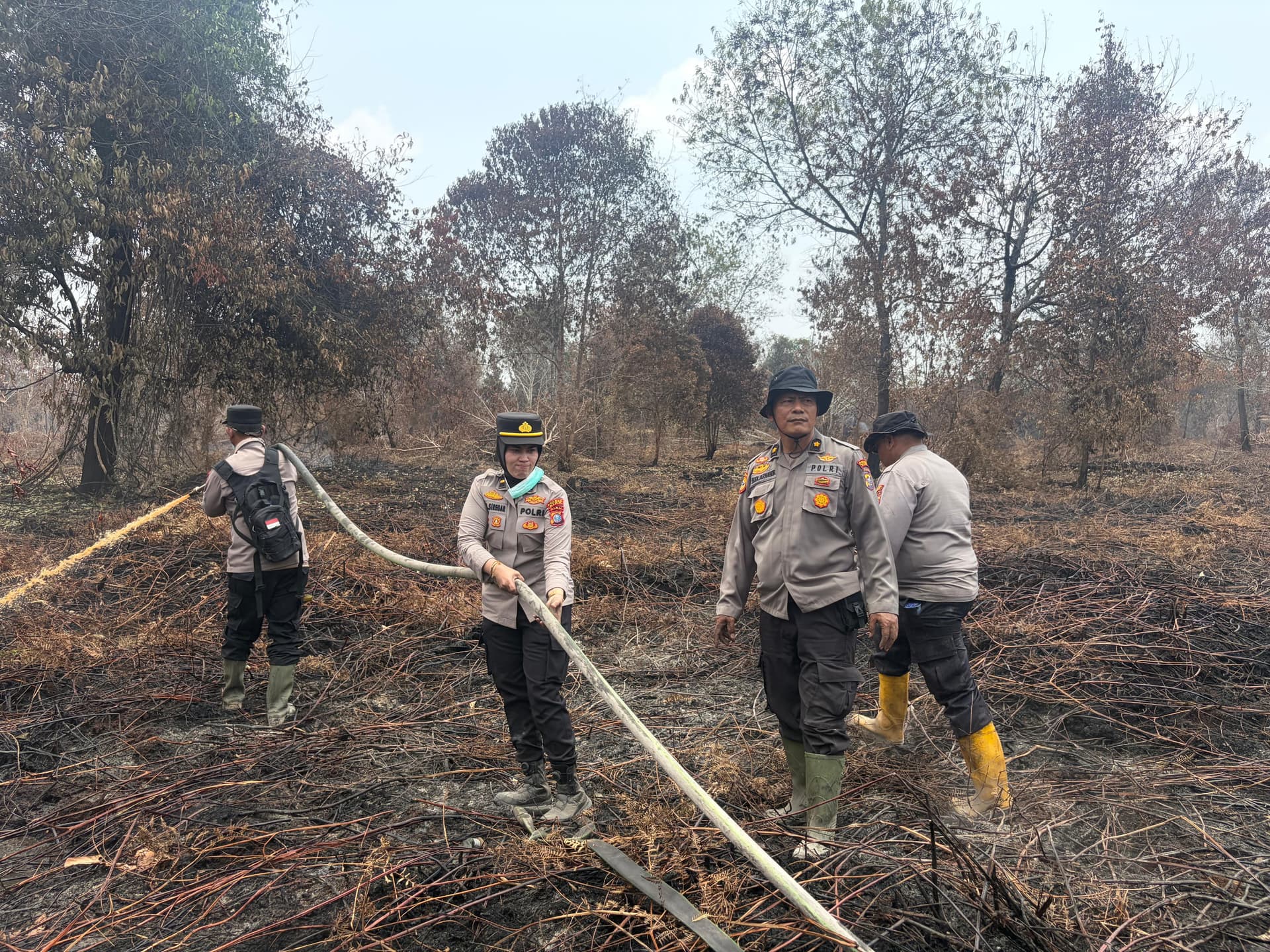 Waspada Karhutla, BNPB Ingatkan Warga Tak Bakar Sampah hingga Patuhi Aturan Berkemah
