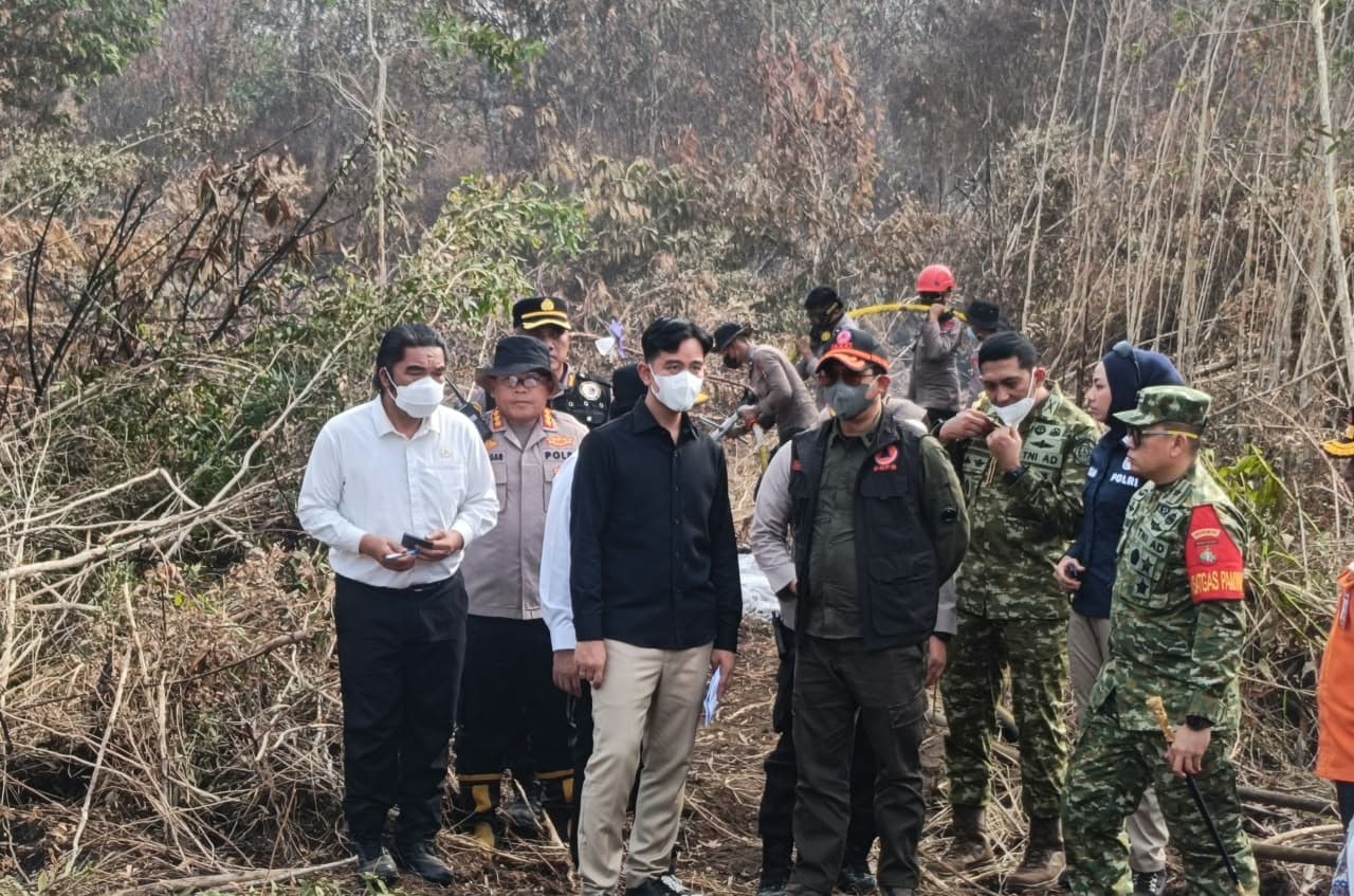 Wapres Gibran Tinjau Penanganan Karhutla di 3 Provinsi Kalimantan 