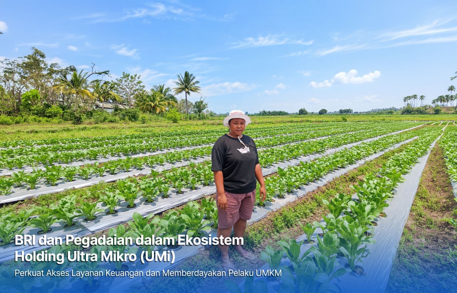 Dari Gadai Emas hingga KUR Mikro, Holding Ultra Mikro Bawa Mur Dwi Astuti Sukses Jadi Petani di Merauke 