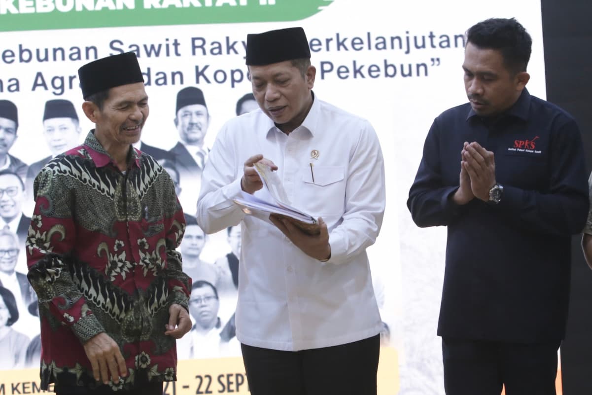 Investasi Pabrik Mini CPO Perlu Rp 30-40 Miliar, Kemenkop Siapkan Pembiayaan