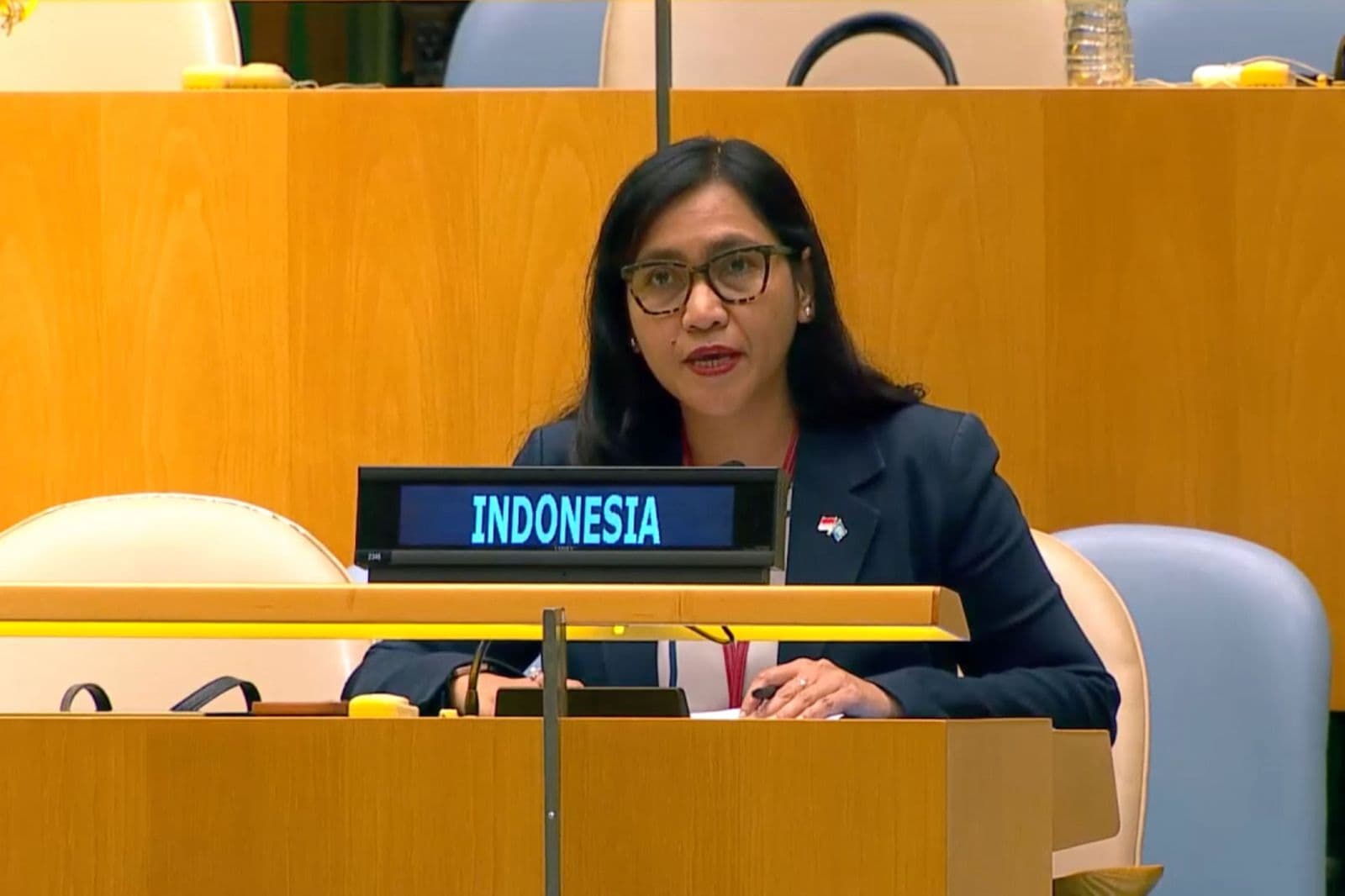Di Sidang Majelis Umum PBB, Indonesia Tegaskan Lindungi Hak Warga Sipil di Papua
