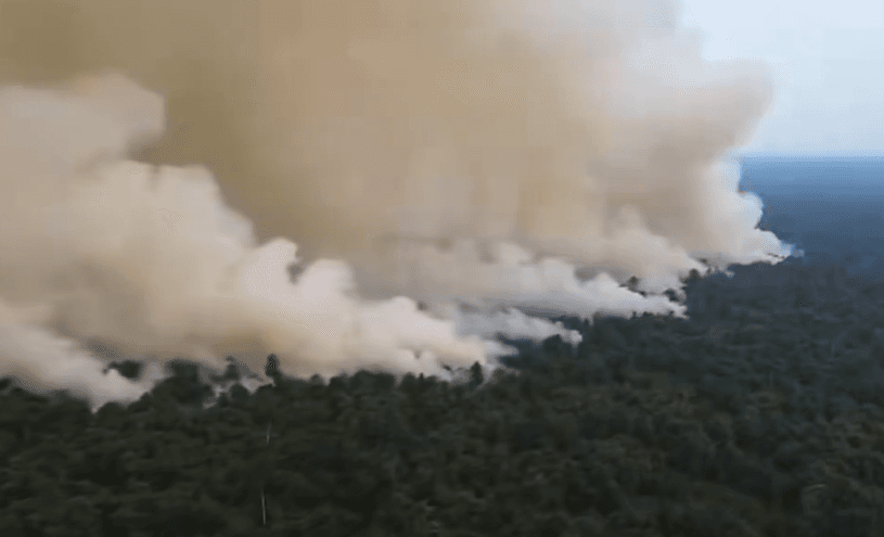 Respons Kritik Eks Mendag Soal Kebakaran Hutan, Singapura Ungkit Keberanian Konfrontasi dengan Indonesia