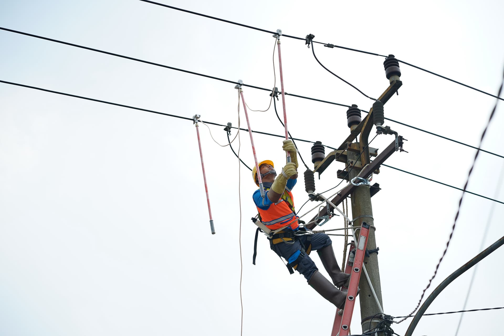 Rampingkan Anak Usaha, PLN Hadirkan PLN Services 