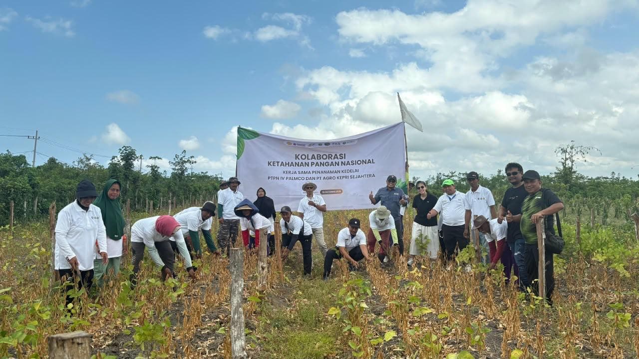PTPN IV PalmCo Gandeng FKS Foundation Kembangkan Kedelai Lokal di Banyuwangi