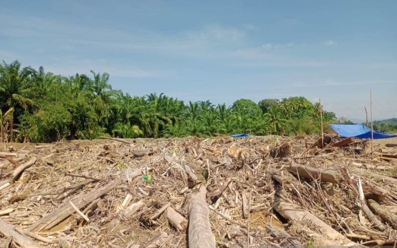 Kemenlu: Belum Ada Laporan WNI Terdampak Banjir Bandang di Perbatasan Nepal-Tibet