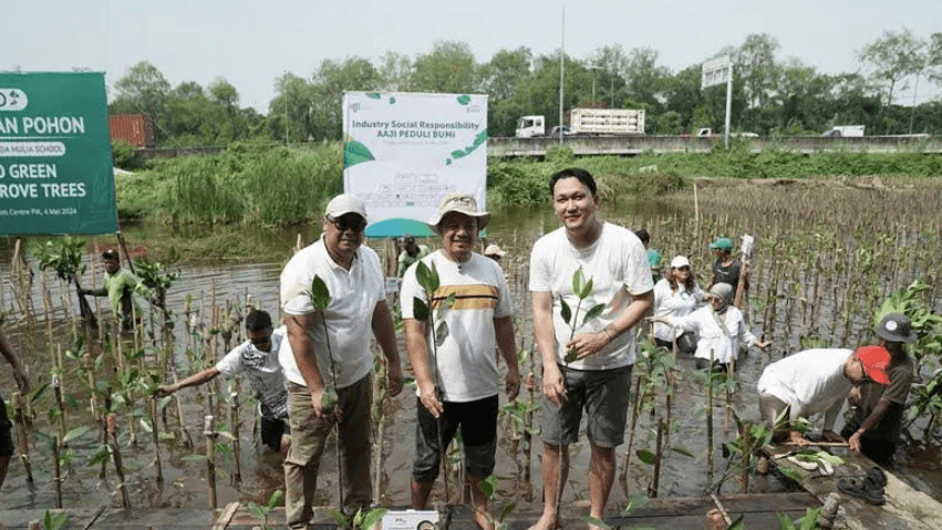Lindungi Ekosistem Kawasan Pesisir, Industri Asuransi Tanam Mangrove di PIK
