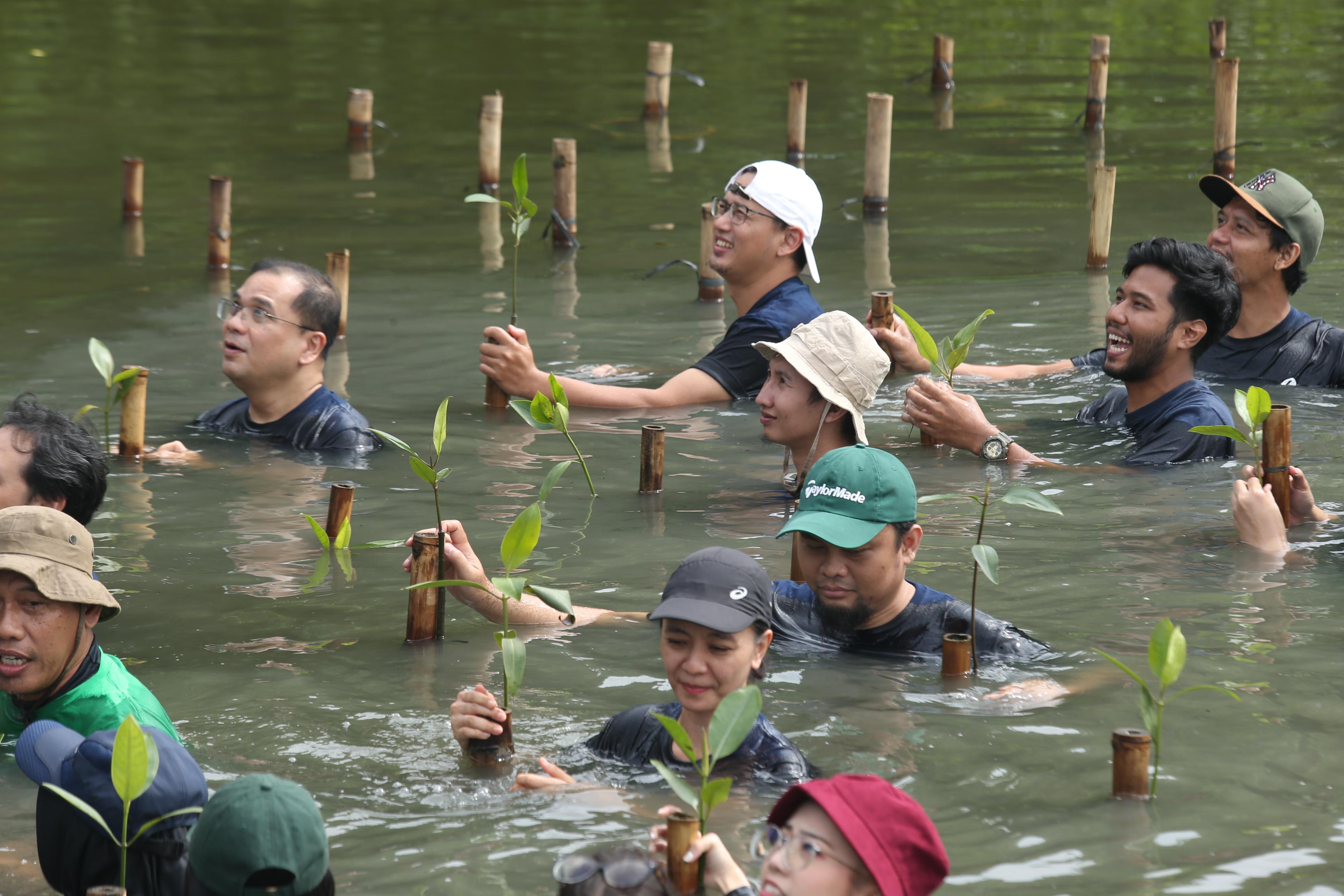 Zurich dan Adira Finance Kolaborasi Dorong Upaya Pelestarian Habitat Mangrove di Jakarta Utara