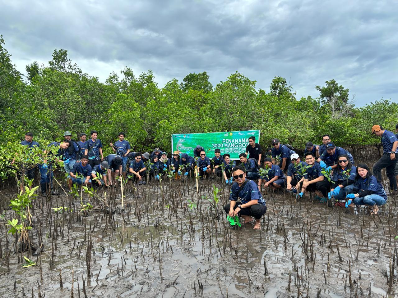 Terjunkan 110 Orang, PLN Tanam 3.000 Mangrove di Pesisir Sulut