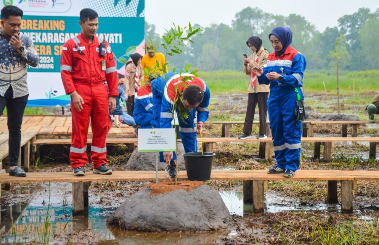 Pemprov Sumsel dan Kilang Pertamina Plaju Bersinergi Bangun Taman Rawa di Kawasan Jakabaring 