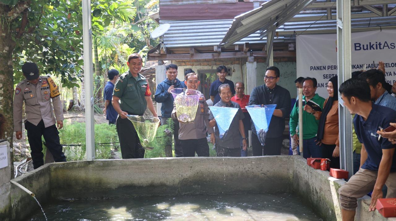 Perluas Lapangan Kerja, Bukit Asam (PTBA) Dorong Budidaya Ikan Gabus di Desa Tanjung Agung