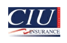 CIU Insurance Targetkan Premi Bruto Tembus Rp 2 Triliun hingga Akhir Tahun